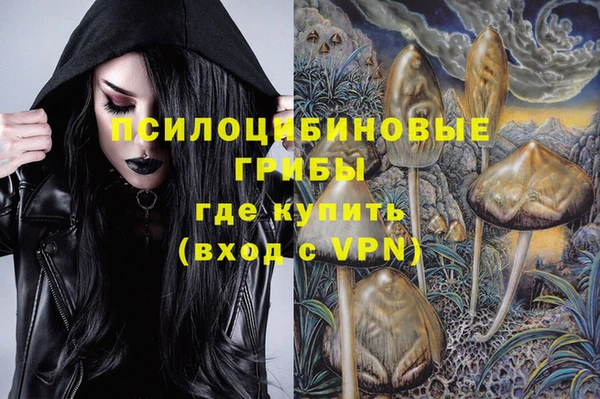амф Алексин