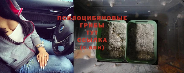амф Алексин