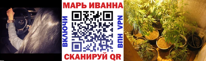 Бошки Шишки сатива Дегтярск